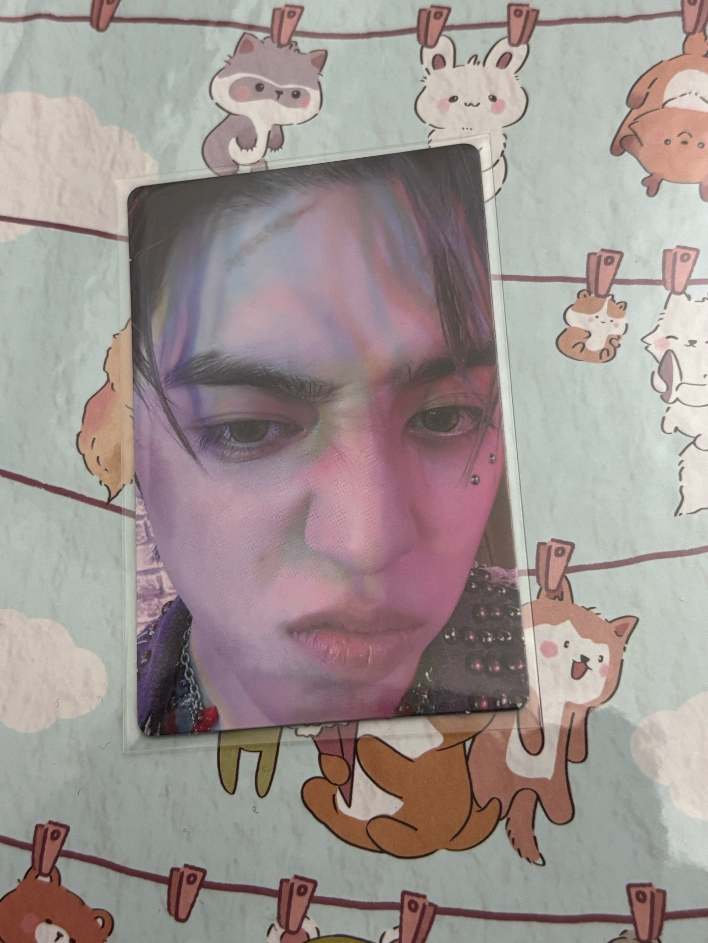 正五 new burstday ver.專卡 哲