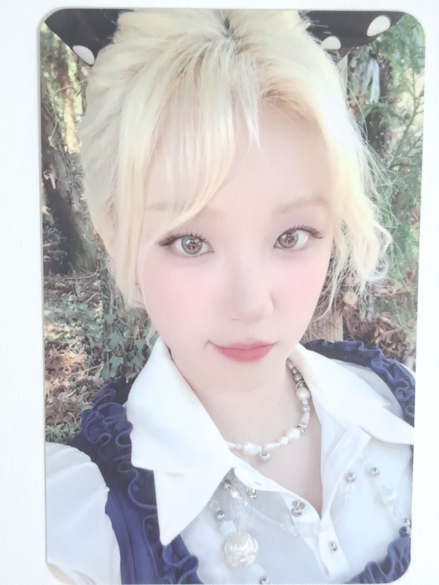 Motivation ms 預售琦