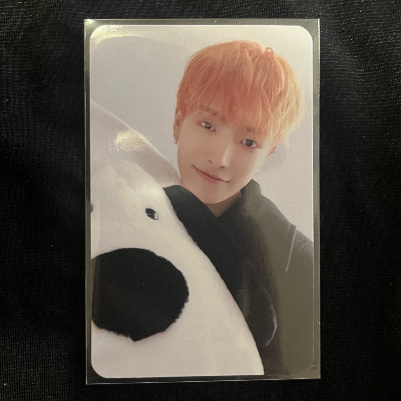 ateez 弘中與大狗狗