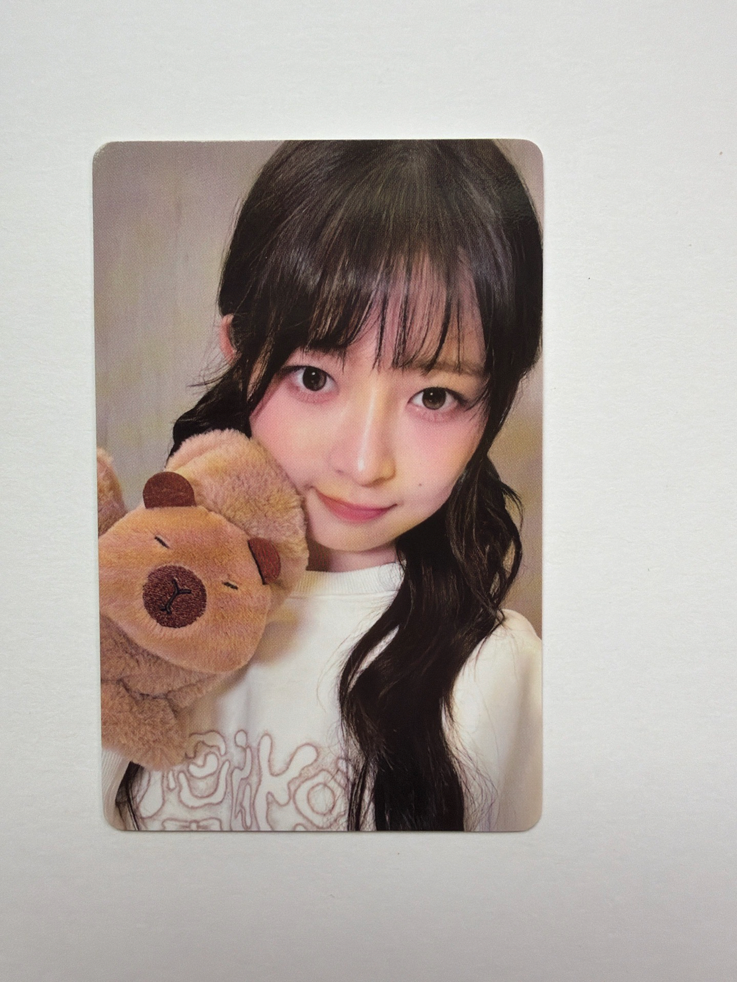 現貨當日出貨/IVE SWITCH yzy3.0卡皮巴拉怜