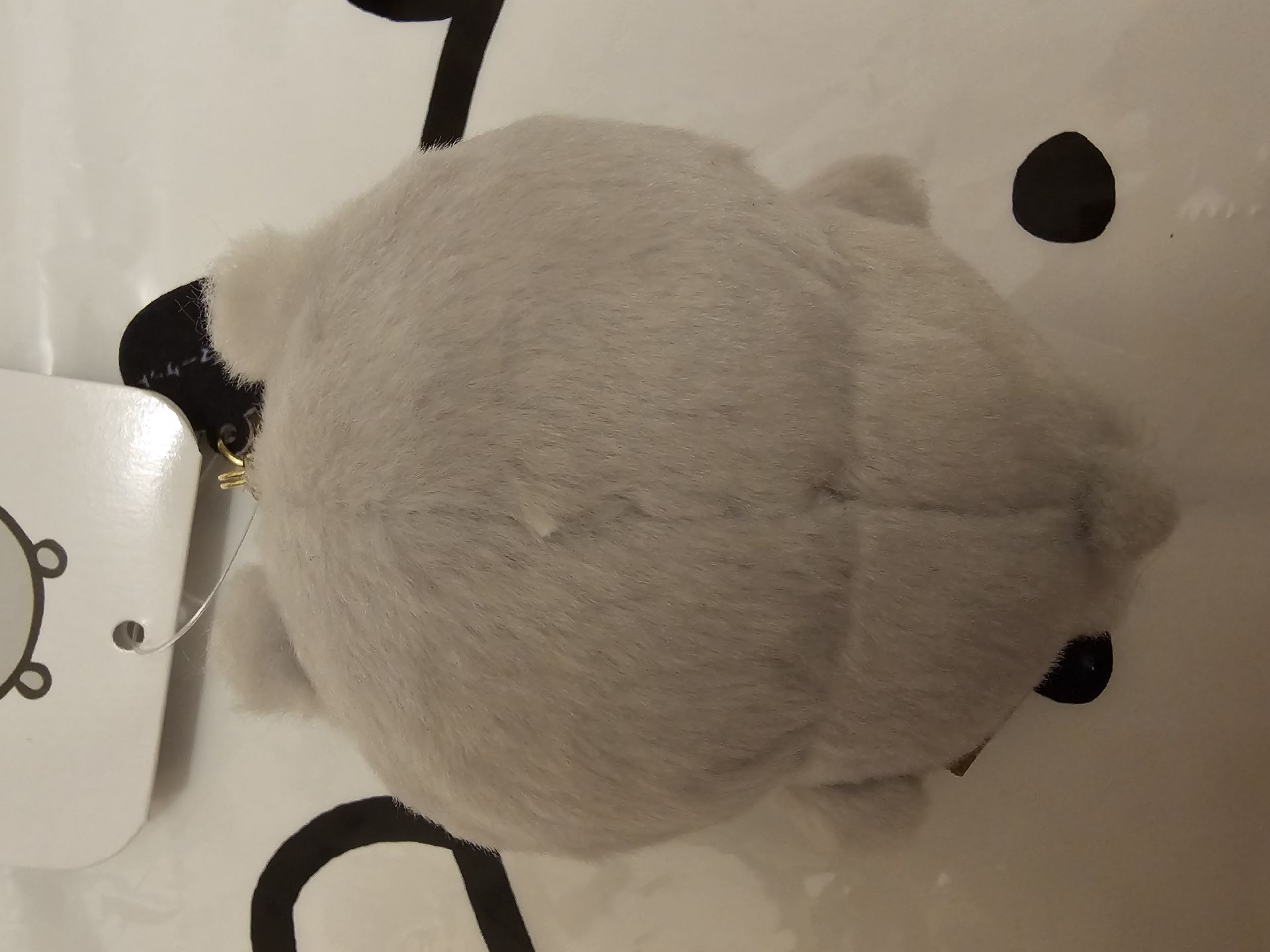 韓國限定彩虹熊 限定灰