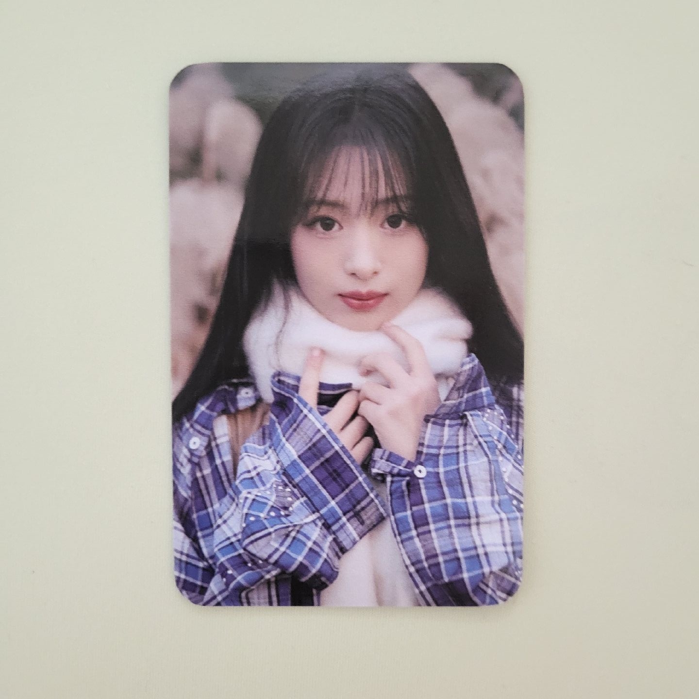 上海滿額圍巾賢