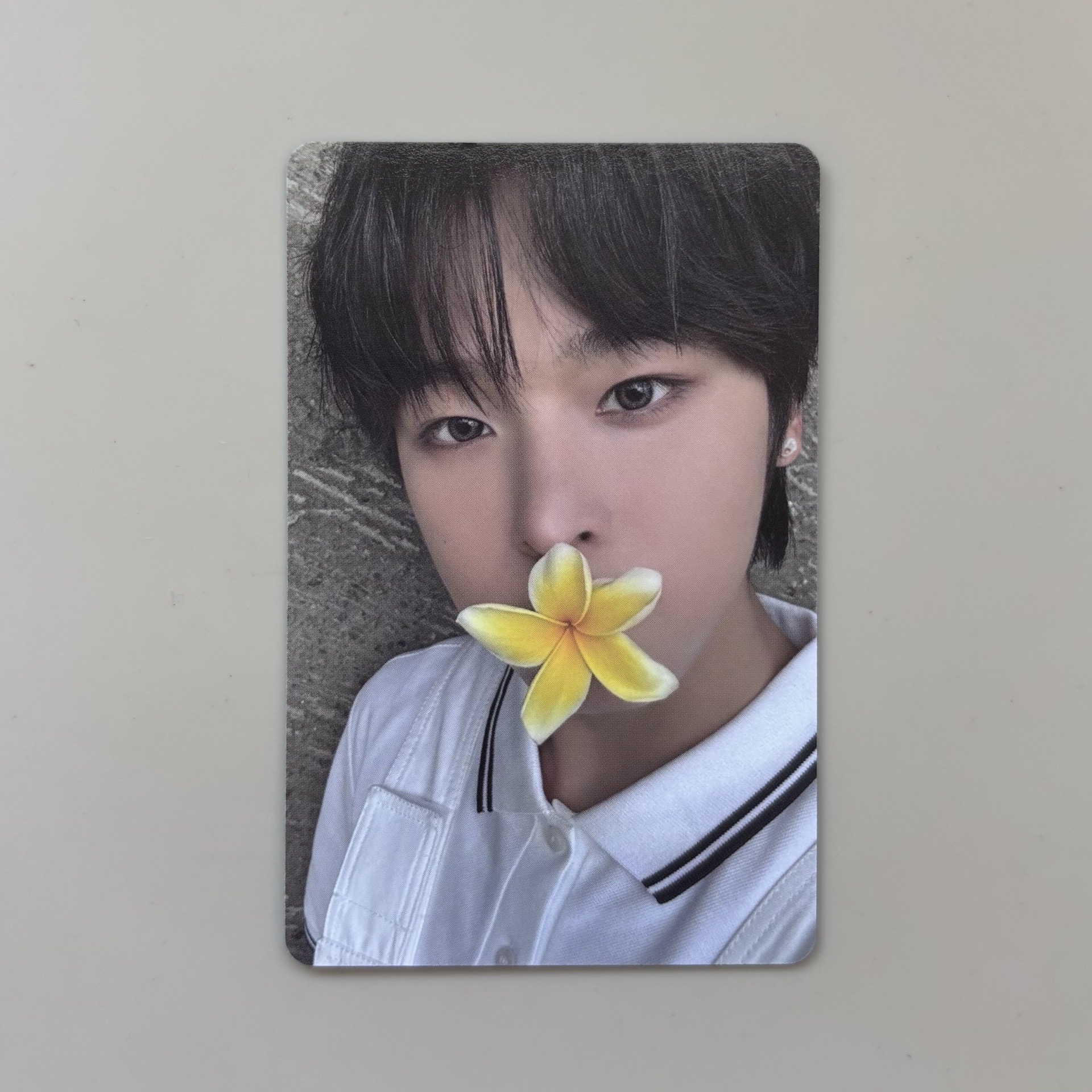 Nct Wish Riku 前田陸專卡໒꒱ 