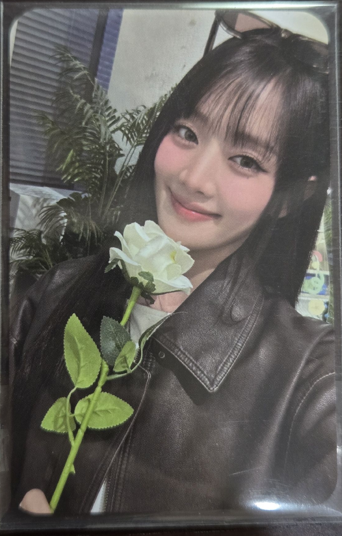 i-dle 妮lo快閃周邊小卡