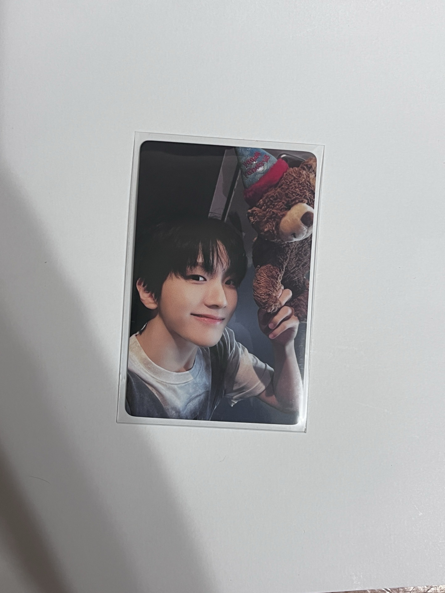 19.99 一直娛抱熊 雲鶴