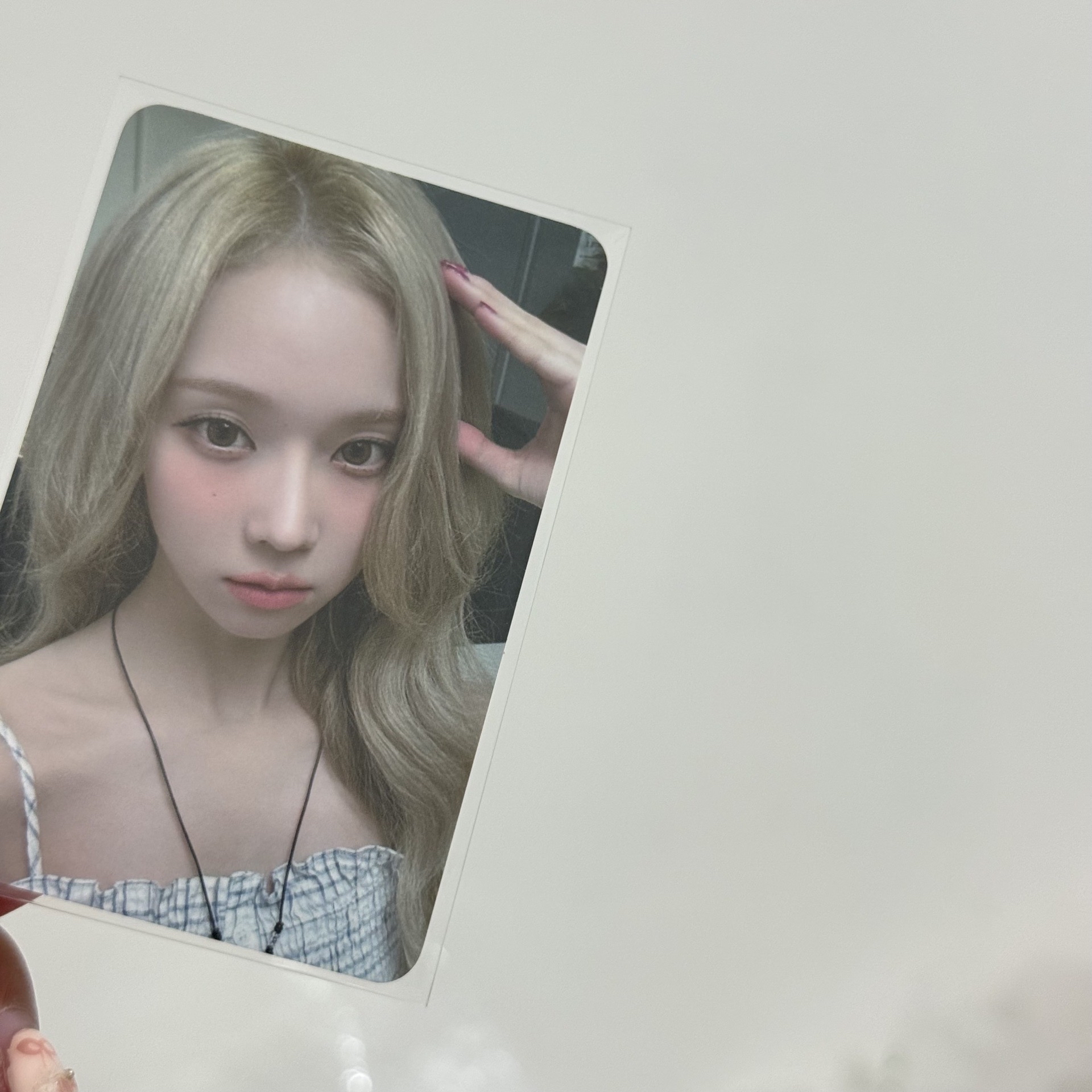 whiplash el幸運冬 狗耳冬