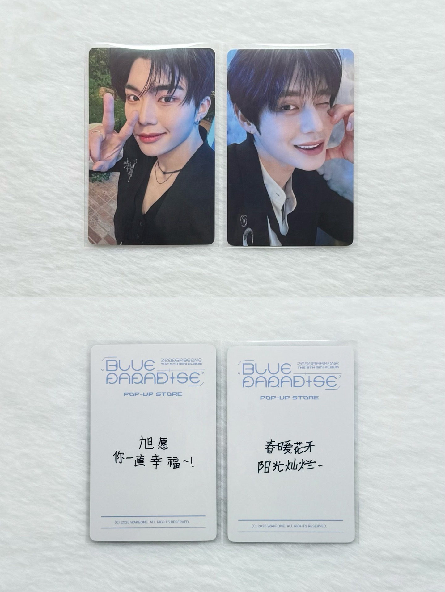 迷五 上海一直娛快閃滿額 旭/雄（中背）