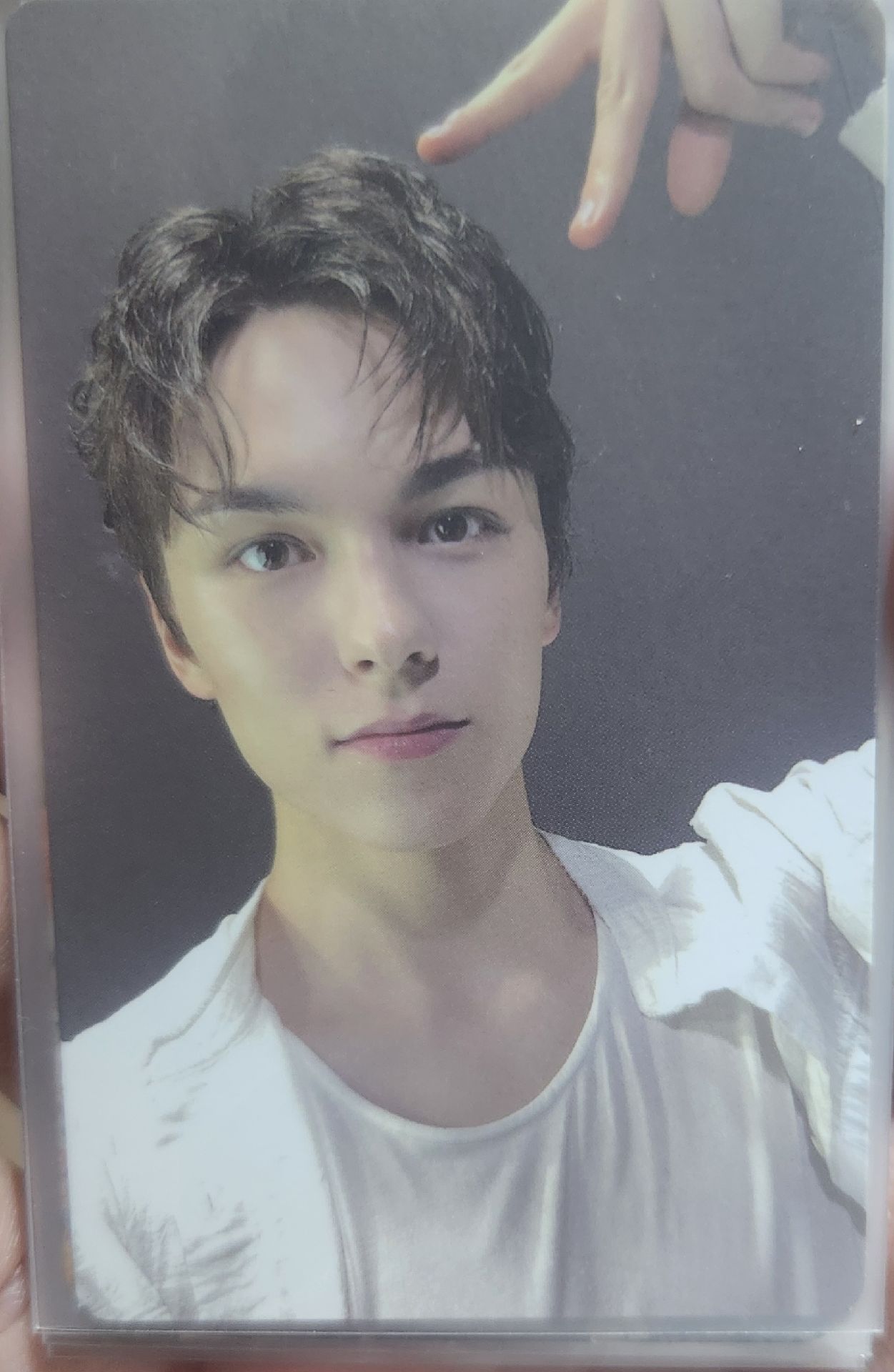 迷12wvs特典