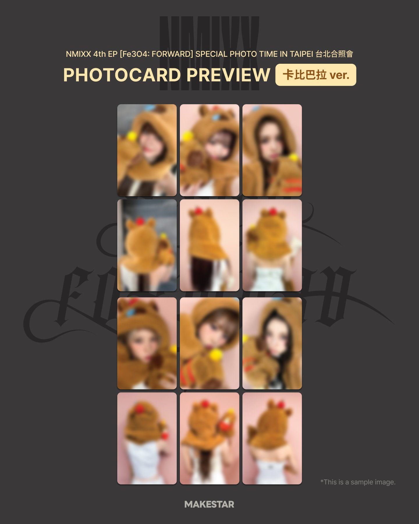 MS 9.0 簽售 卡皮巴拉