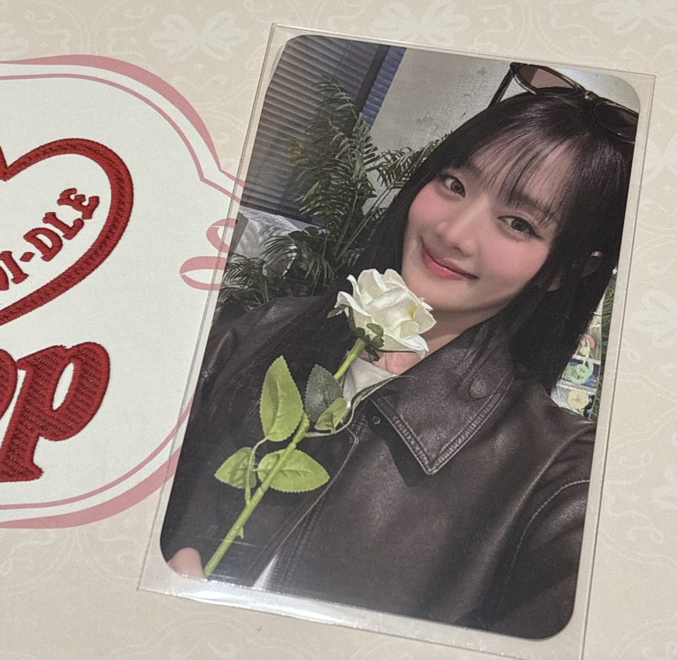 妮solo—快閃小卡 