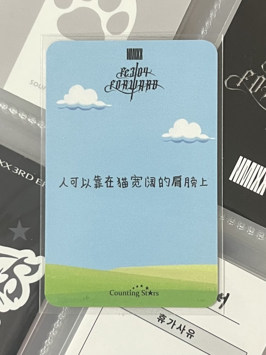 💫 NMIXX 小羊圭 中背