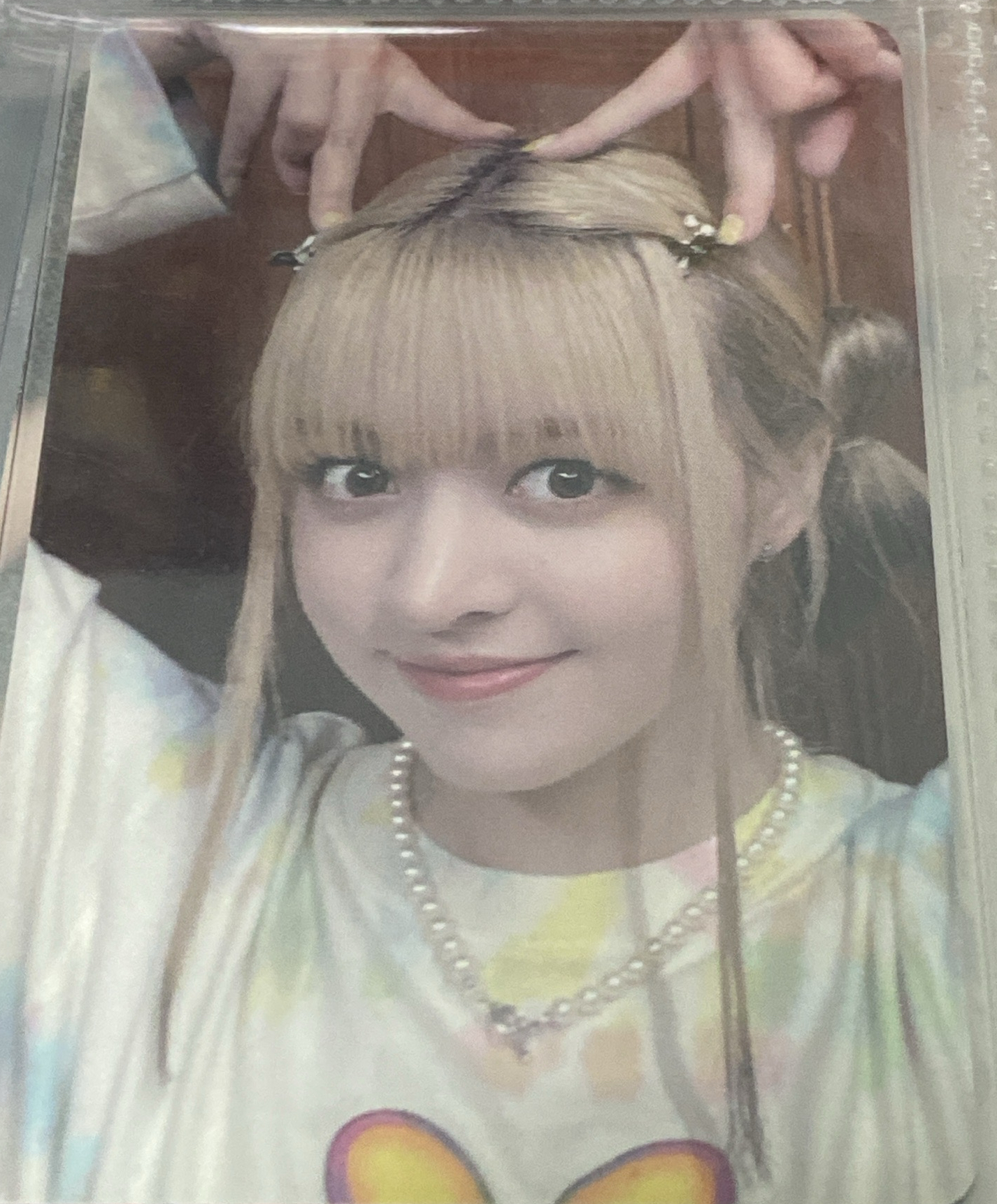 ENTWURF wm 2.0 簽售卡 貓咪