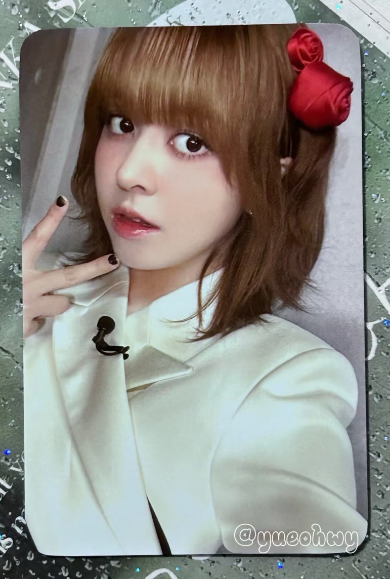 sw 莉