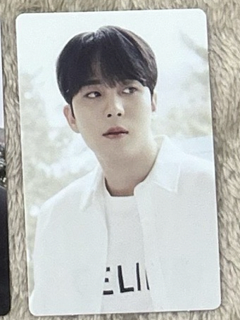 白襯衫小熊（QR)