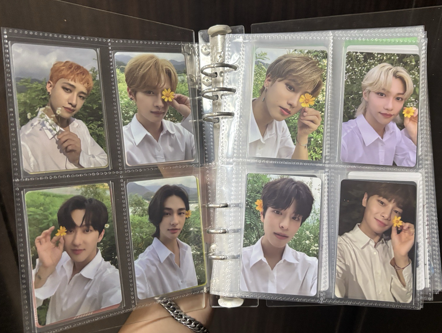 SKZ noeasy 花卡一套