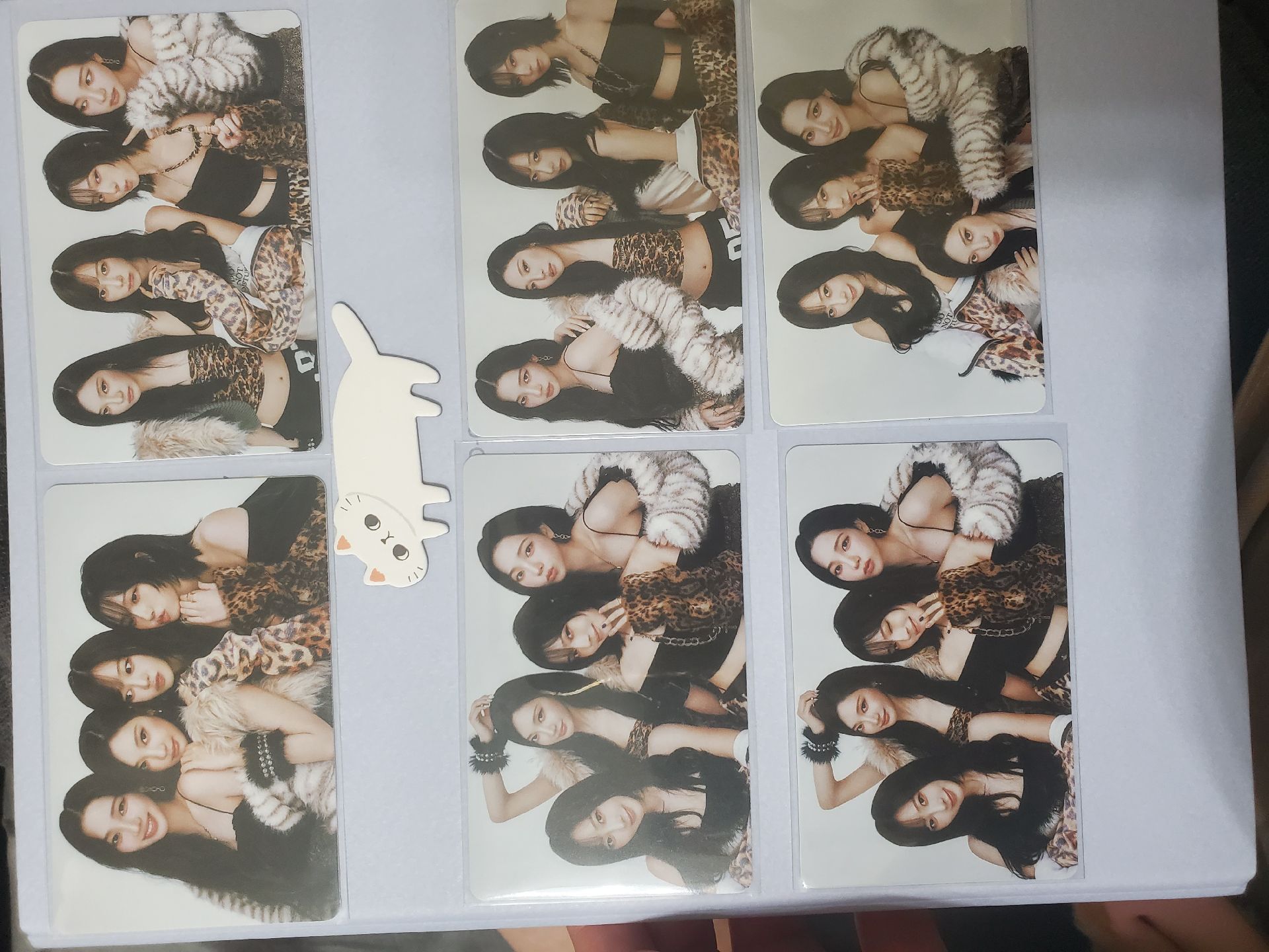 福岡隨機卡 團卡一套