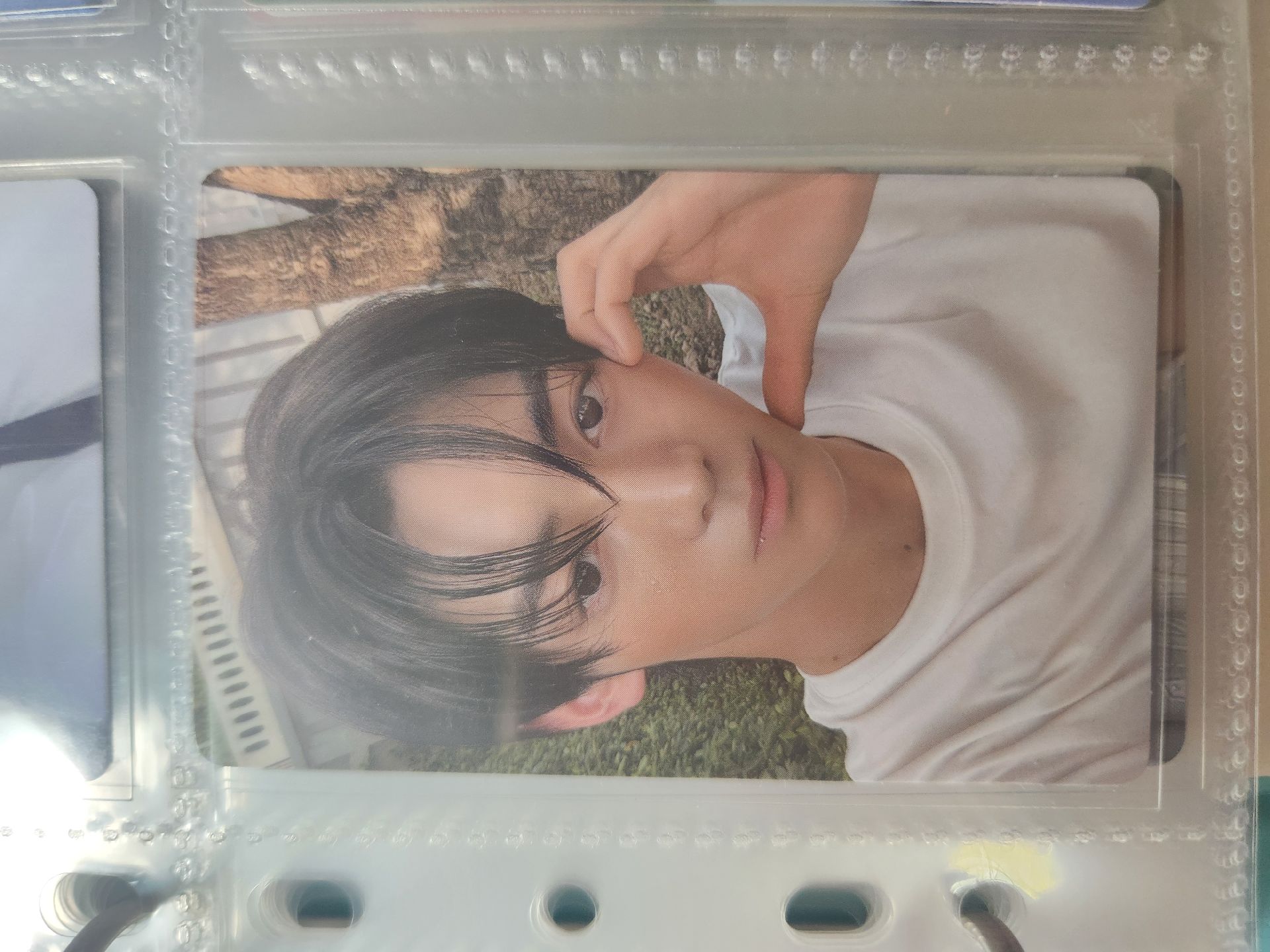 韓振 迷二 wvs特典 