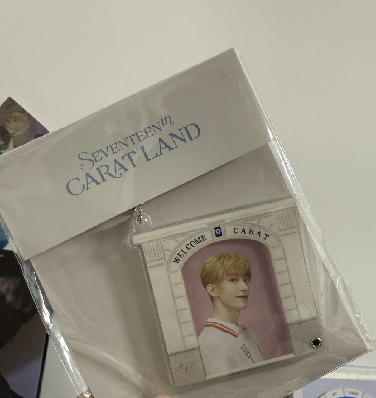 全碩盤 （勿直接下單謝謝）