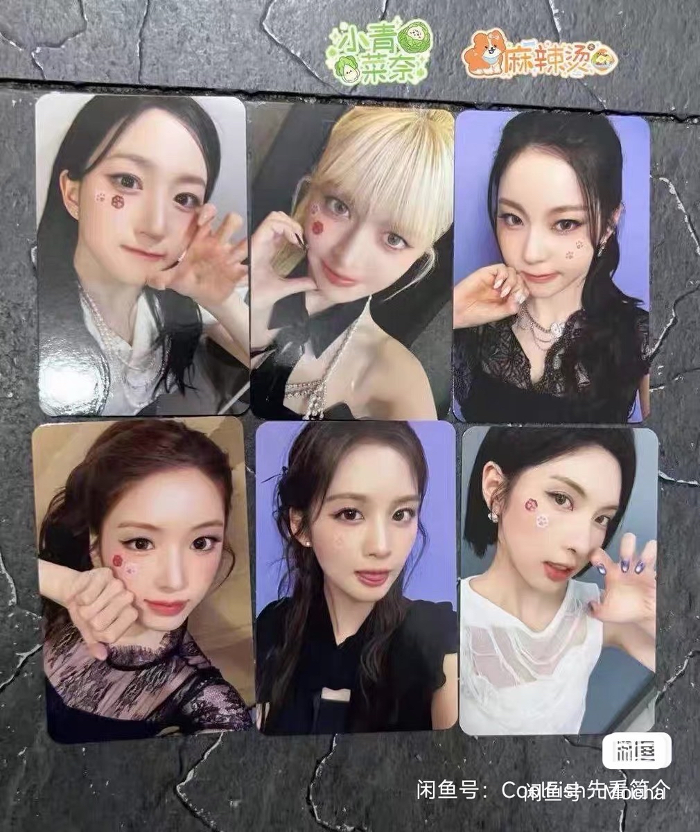 NMIXX MS 貓貼片 非現貨