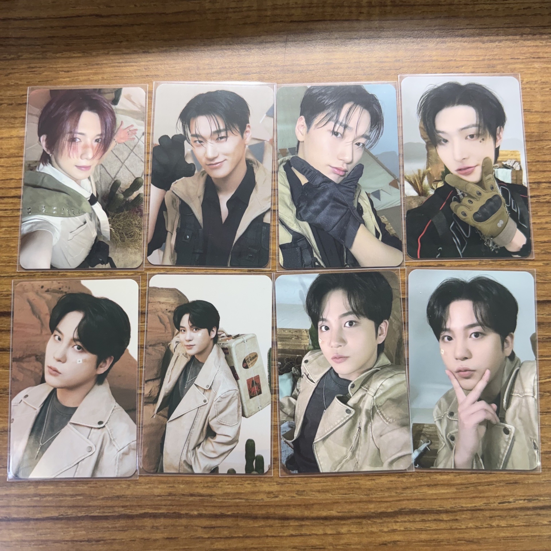 小動物沙漠隨機卡