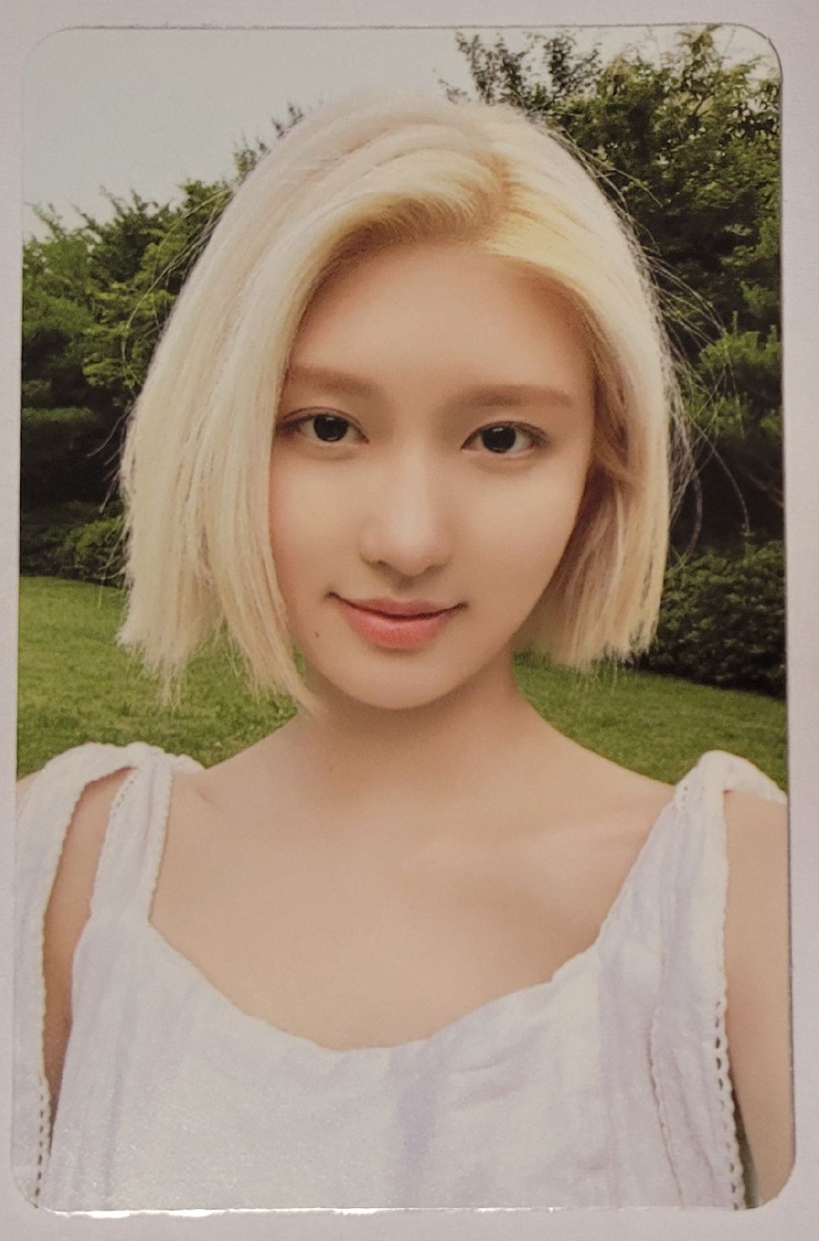 IVE AFTER LIKE 專卡 GAEUL 秋天