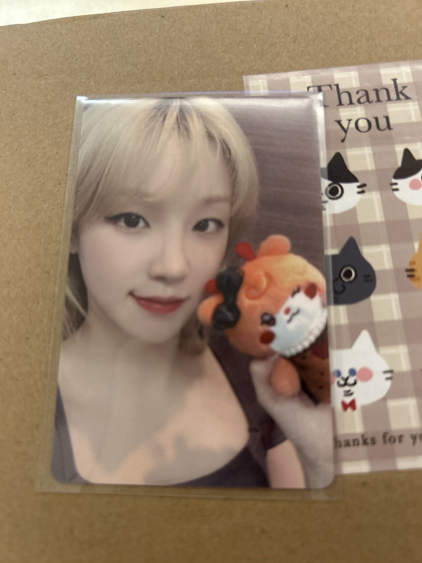 雨琦快閃卡包卡