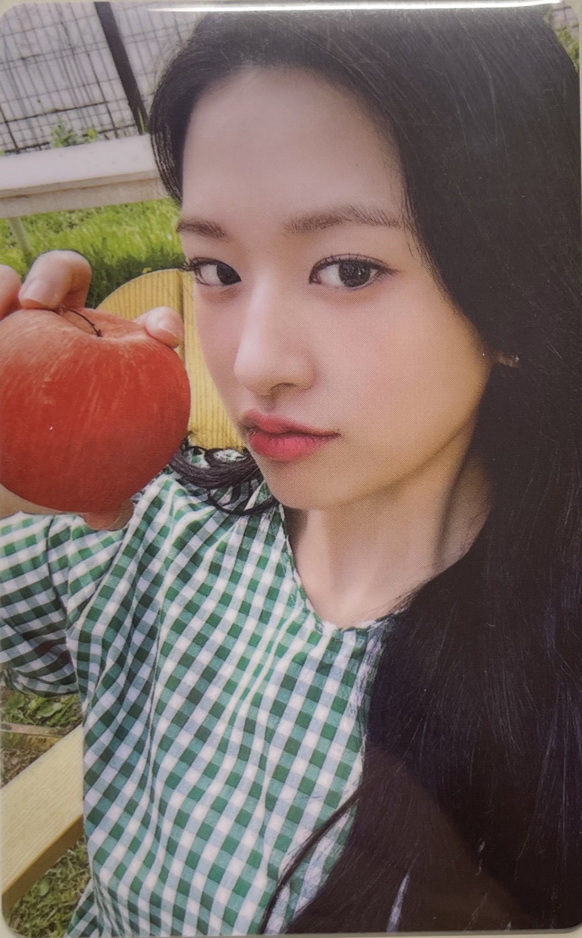 安兪真 maxim咖啡代言卡 蘋果安