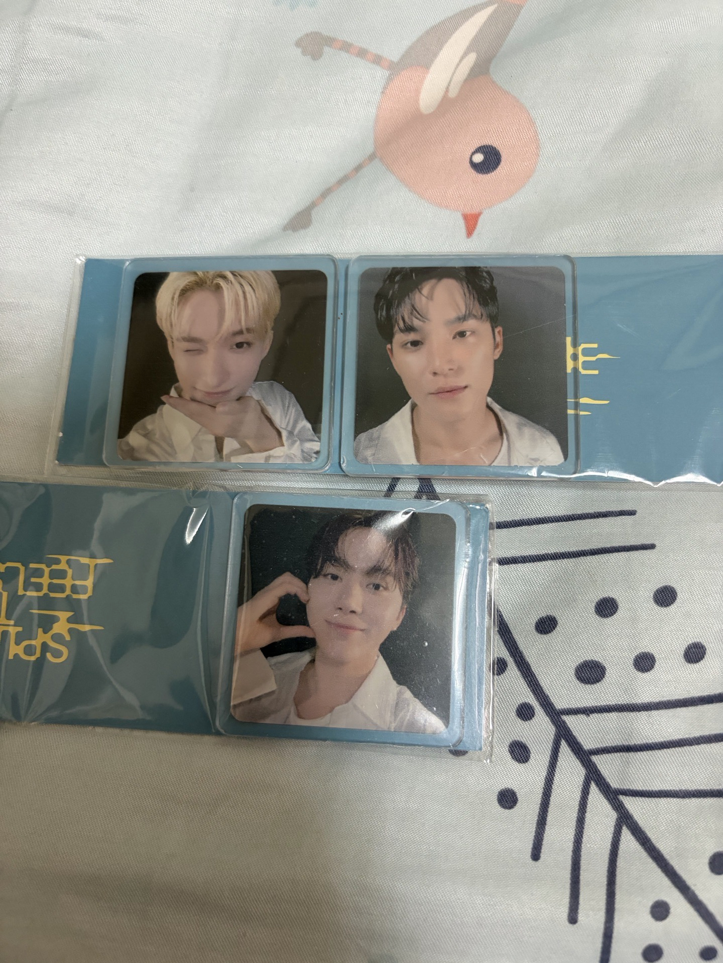 MINI12 WVS 磁鐵 奎DK寛