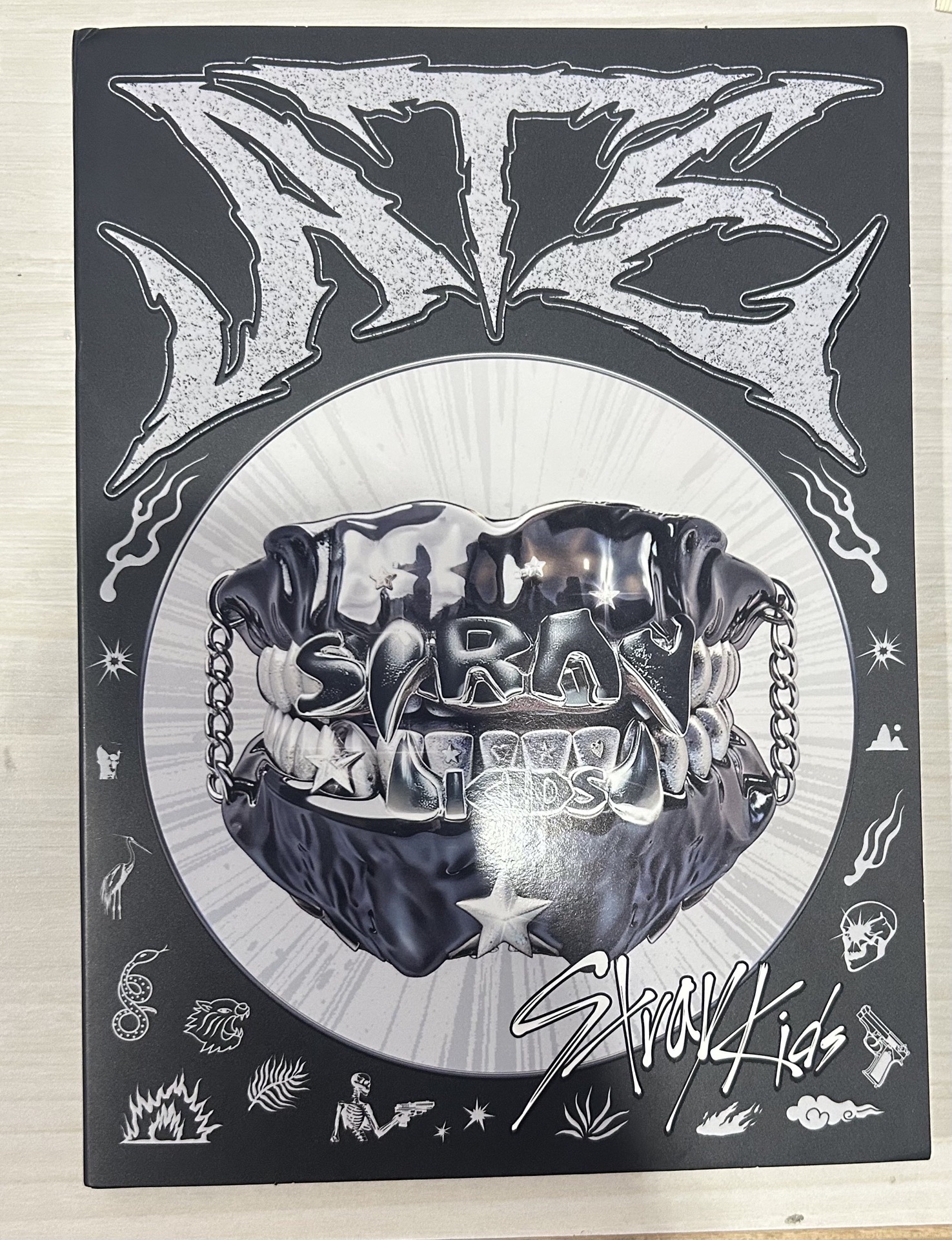 stray kids ATE空專