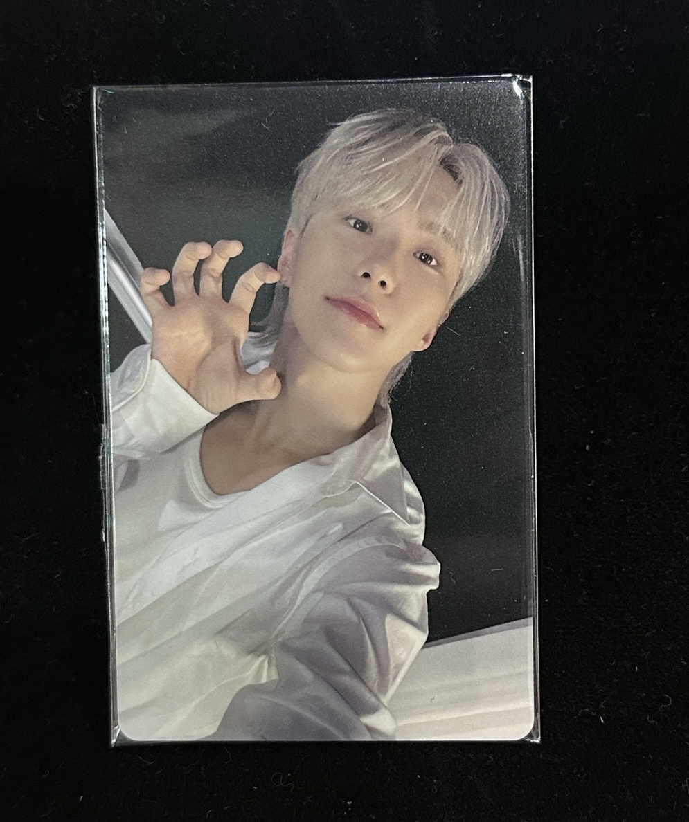 🌸 seventeen 迷十二克拉盤 塔店特典 hoshi
