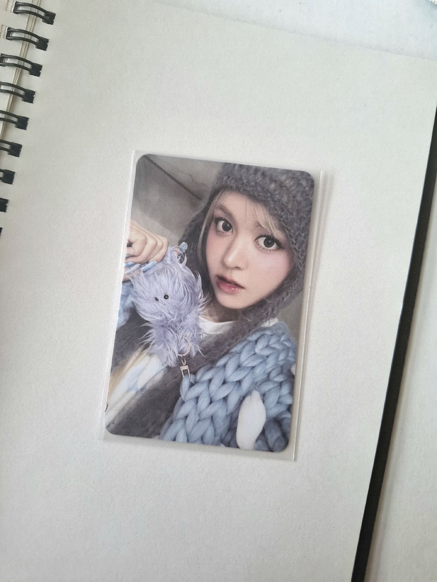 莉 彩版水母專卡