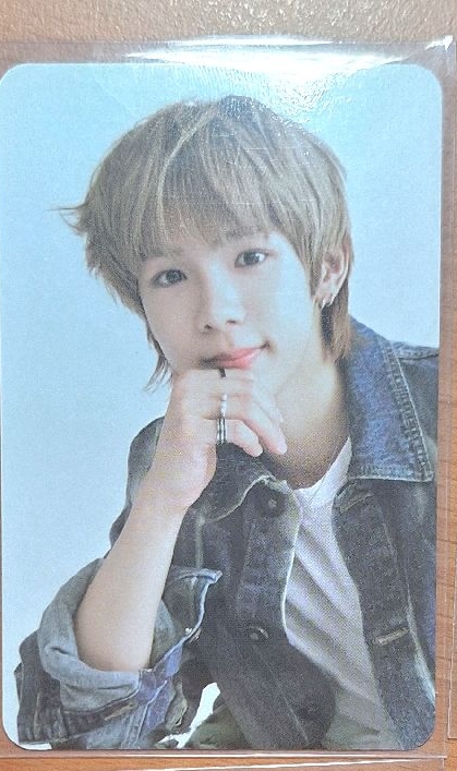 醬是水獺年曆卡