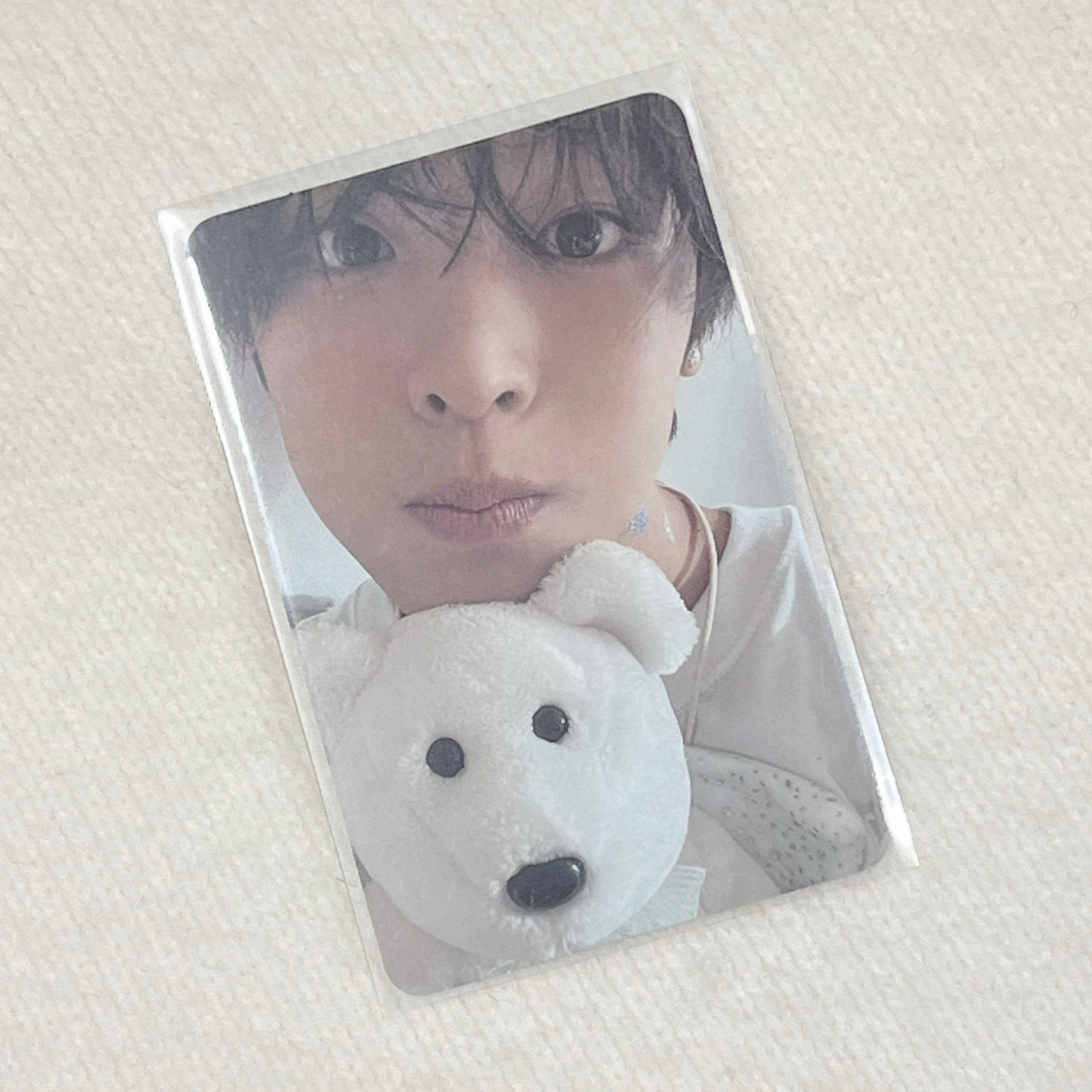 Steady 專輯卡 Nct Wish Riku 白版 專卡