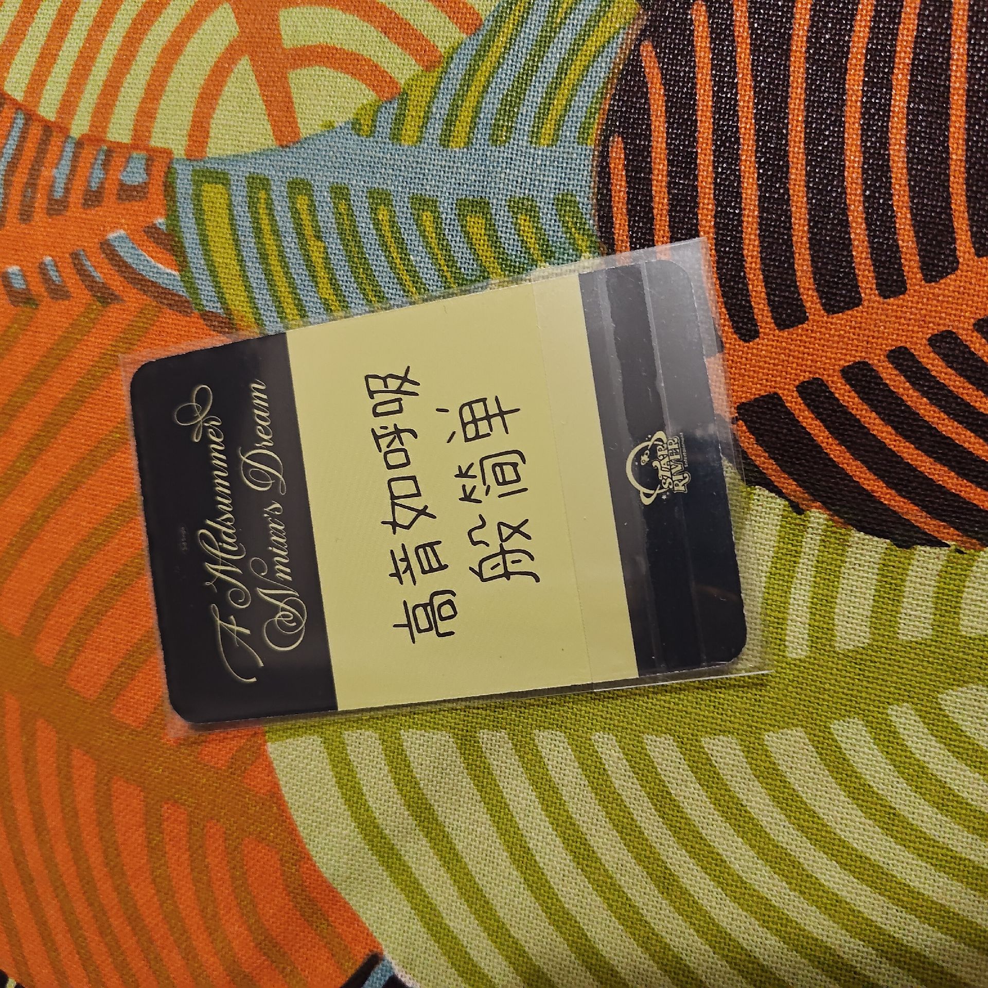 🪐哈利波特莉（中背）