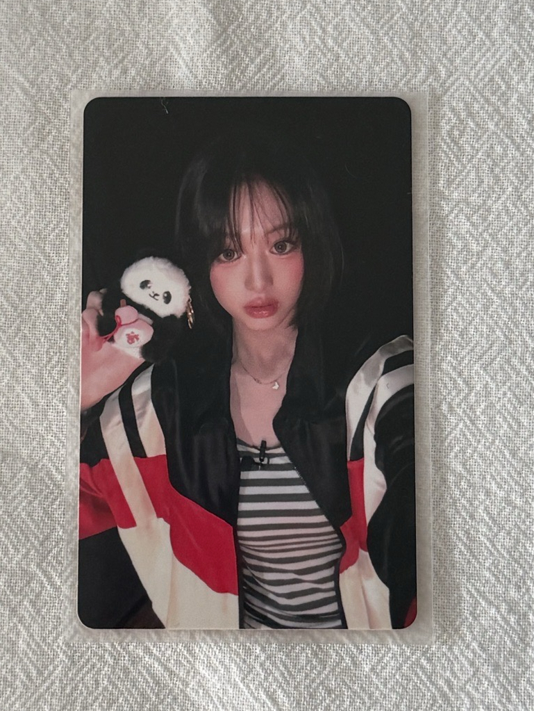 現貨 上海快閃699滿額 熊貓賢 送日本隨機卡