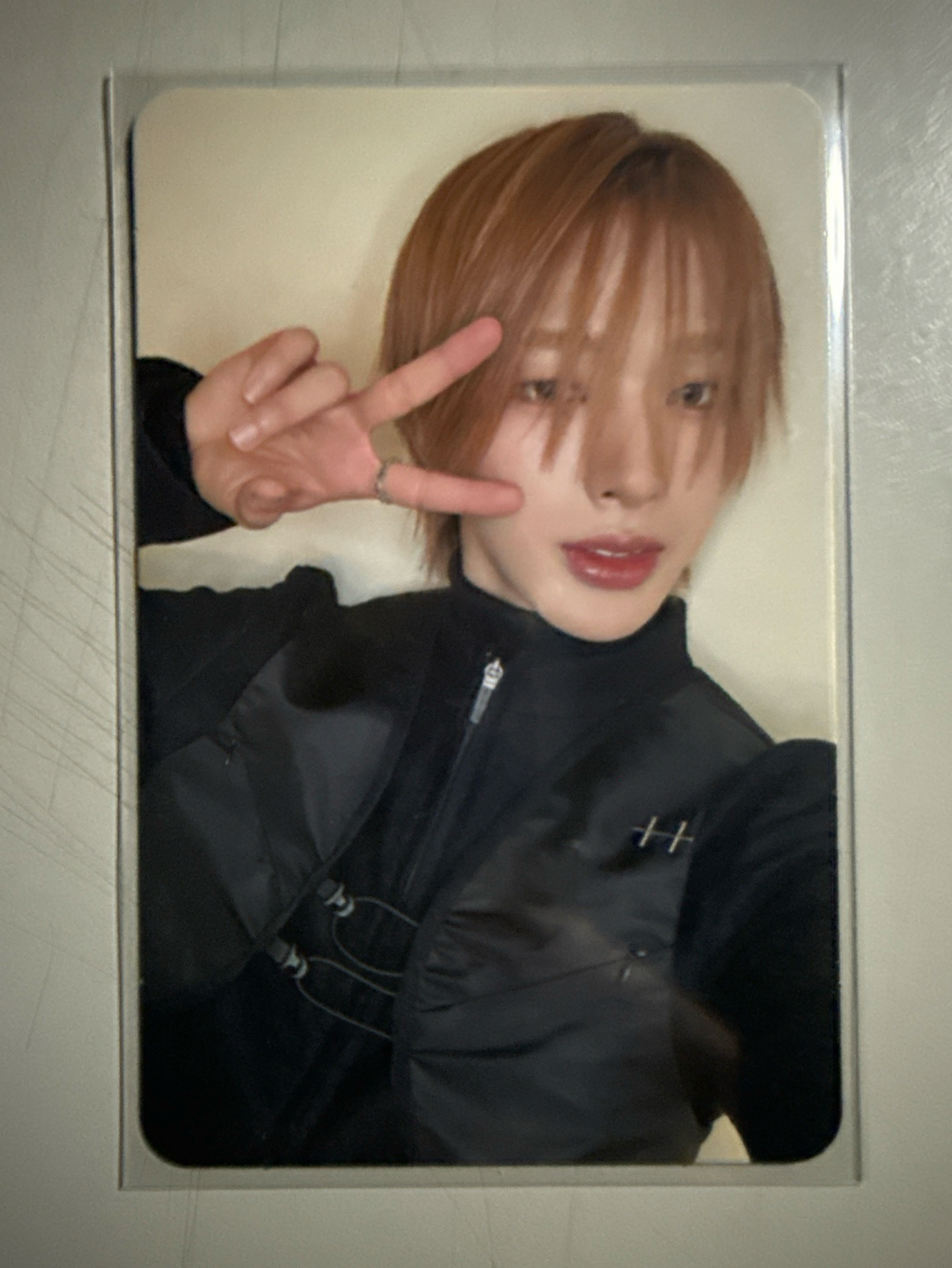 迷一 專輯卡 普版