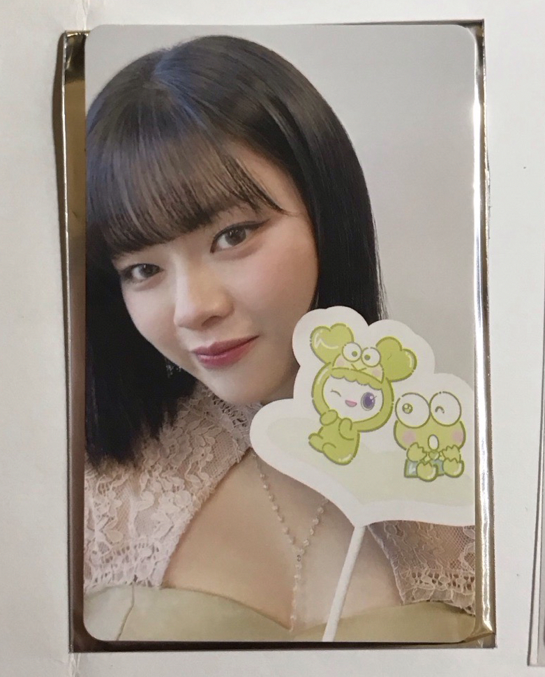 三麗鷗滿額定