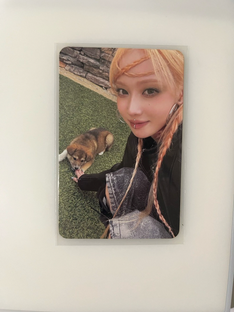 armageddon zine版專卡