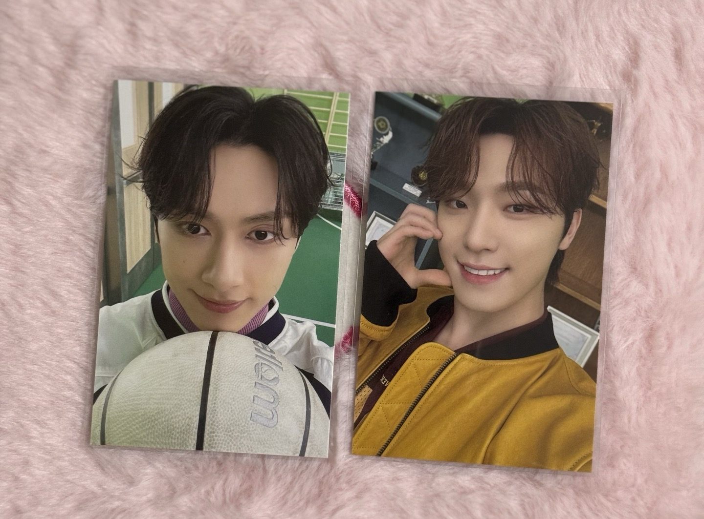 ✨2025 CARAT LAND外套卡✨JUN&DINO🐱🦦