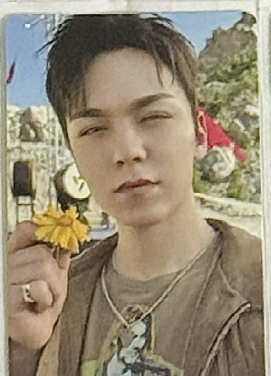 率 迷12 follow dvd follow, right here 卡包卡