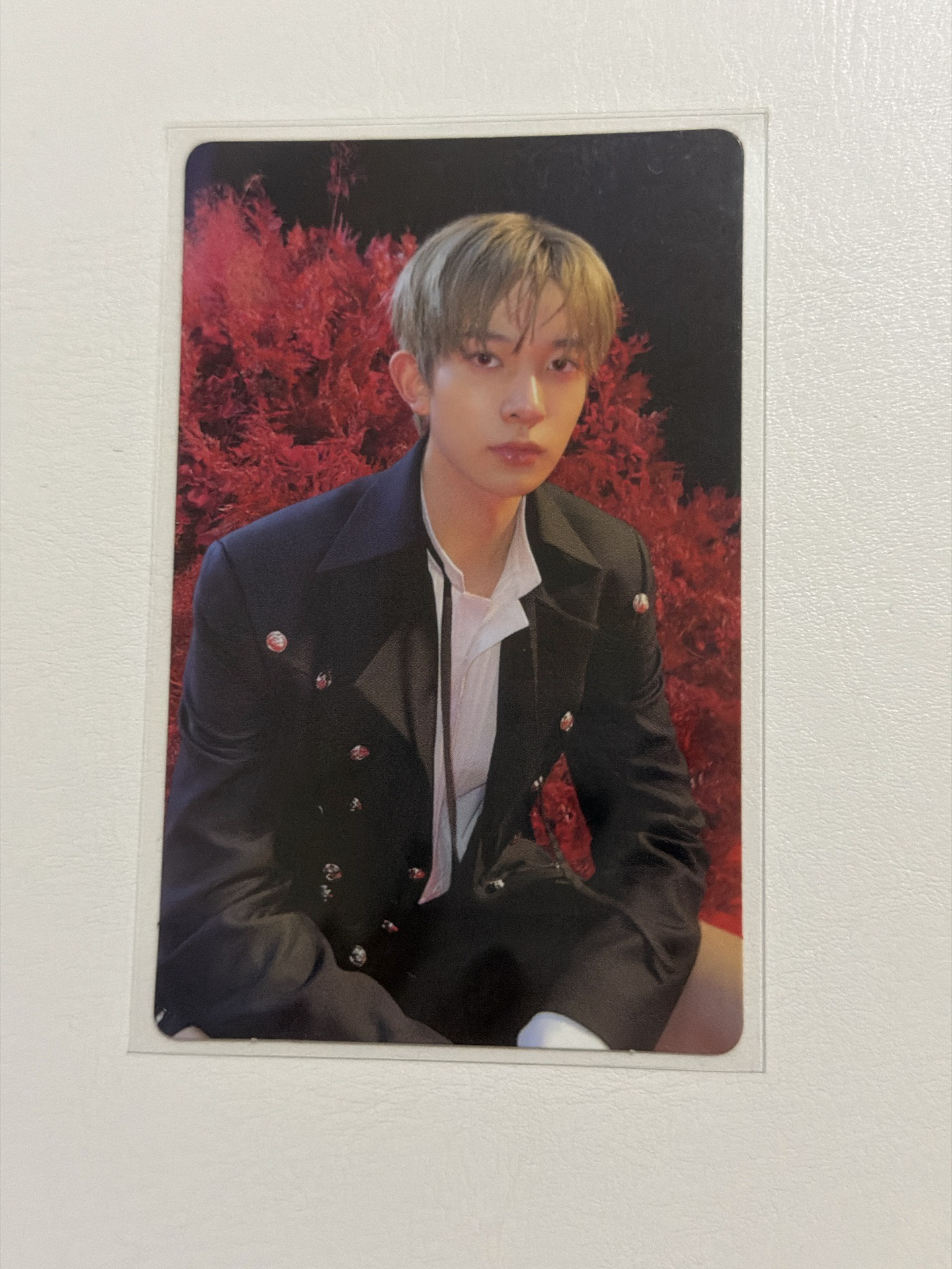 迷四 專輯卡 New版 羲承