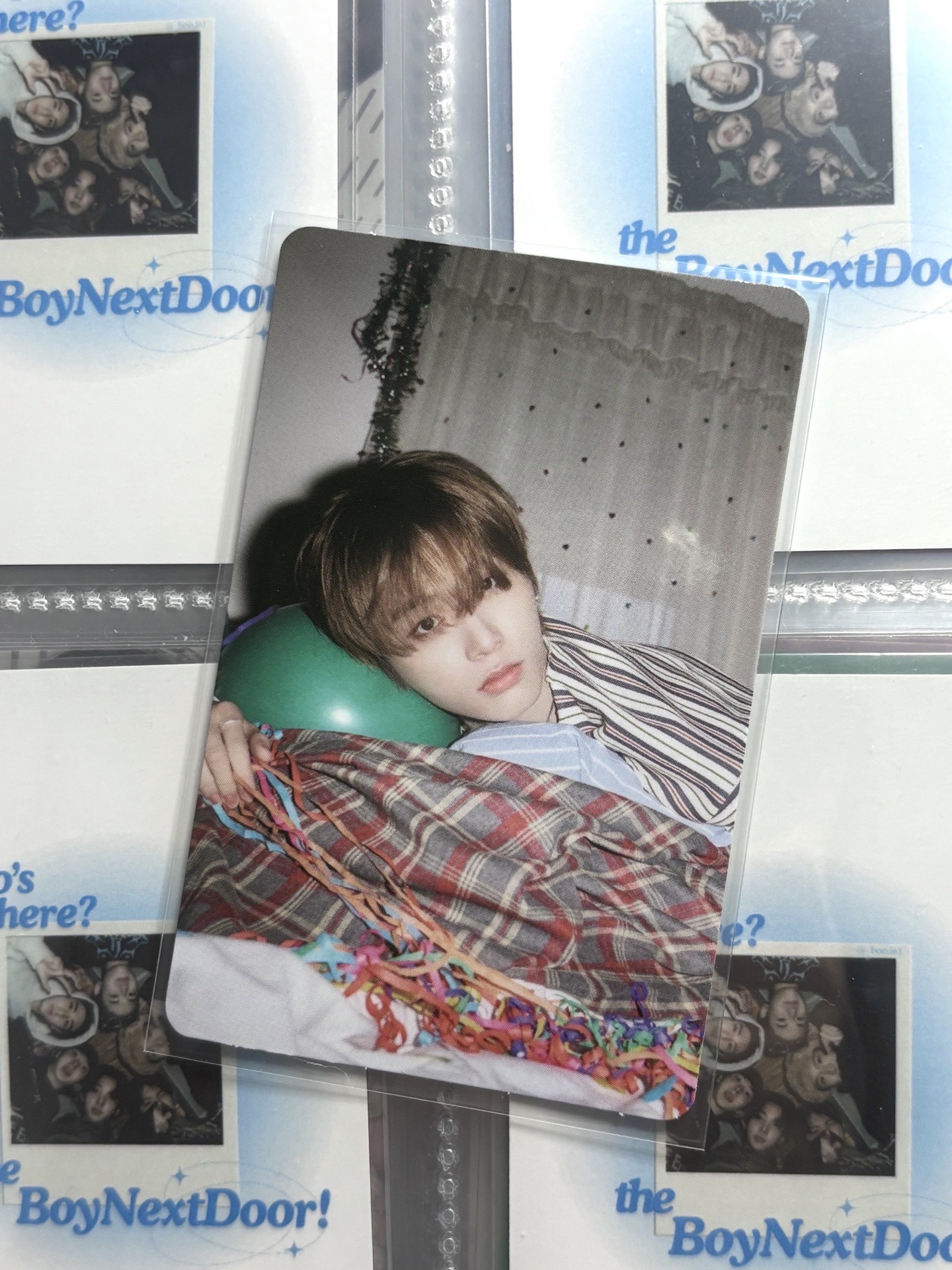 泰山生日禮 官拍