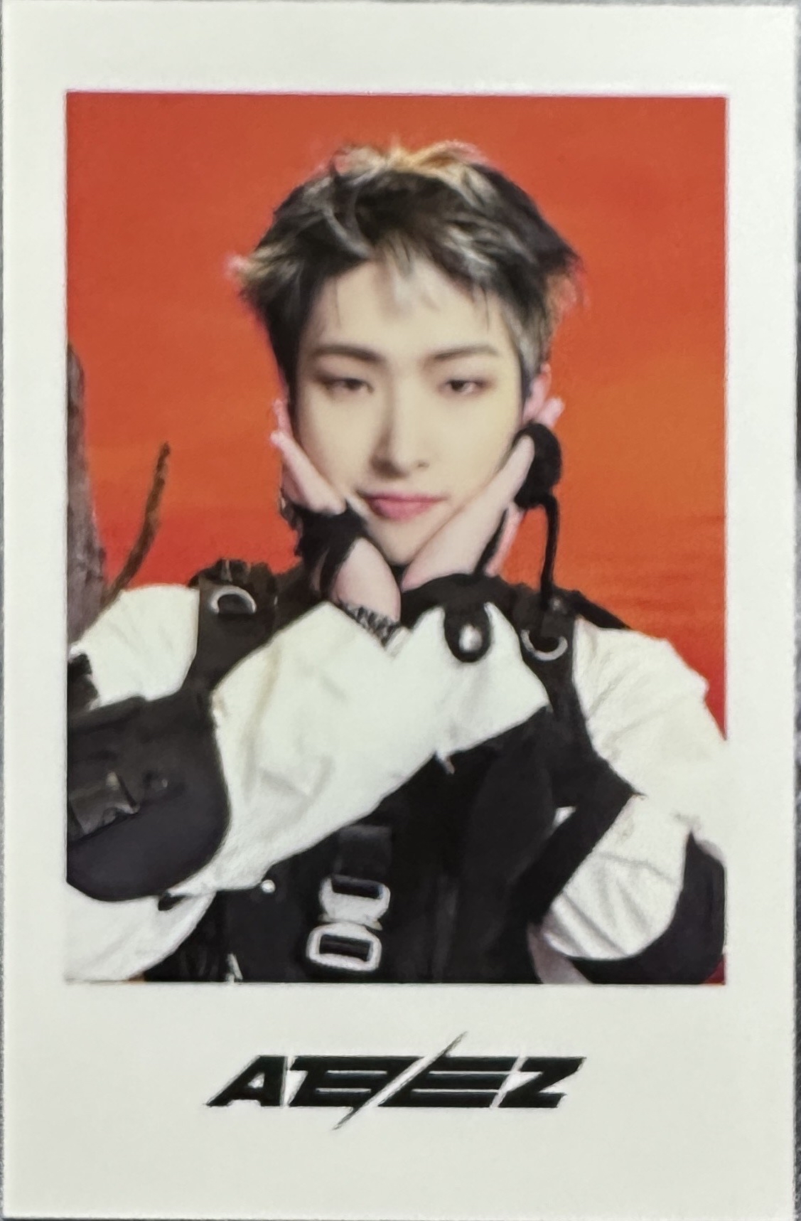 旼琦 WILL ms PB Set 特典卡 Polaroid