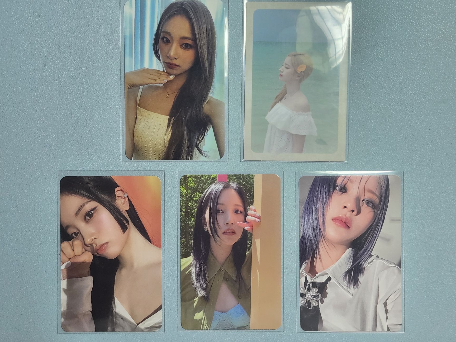 定南多瑜🐶🐧🦅🦌