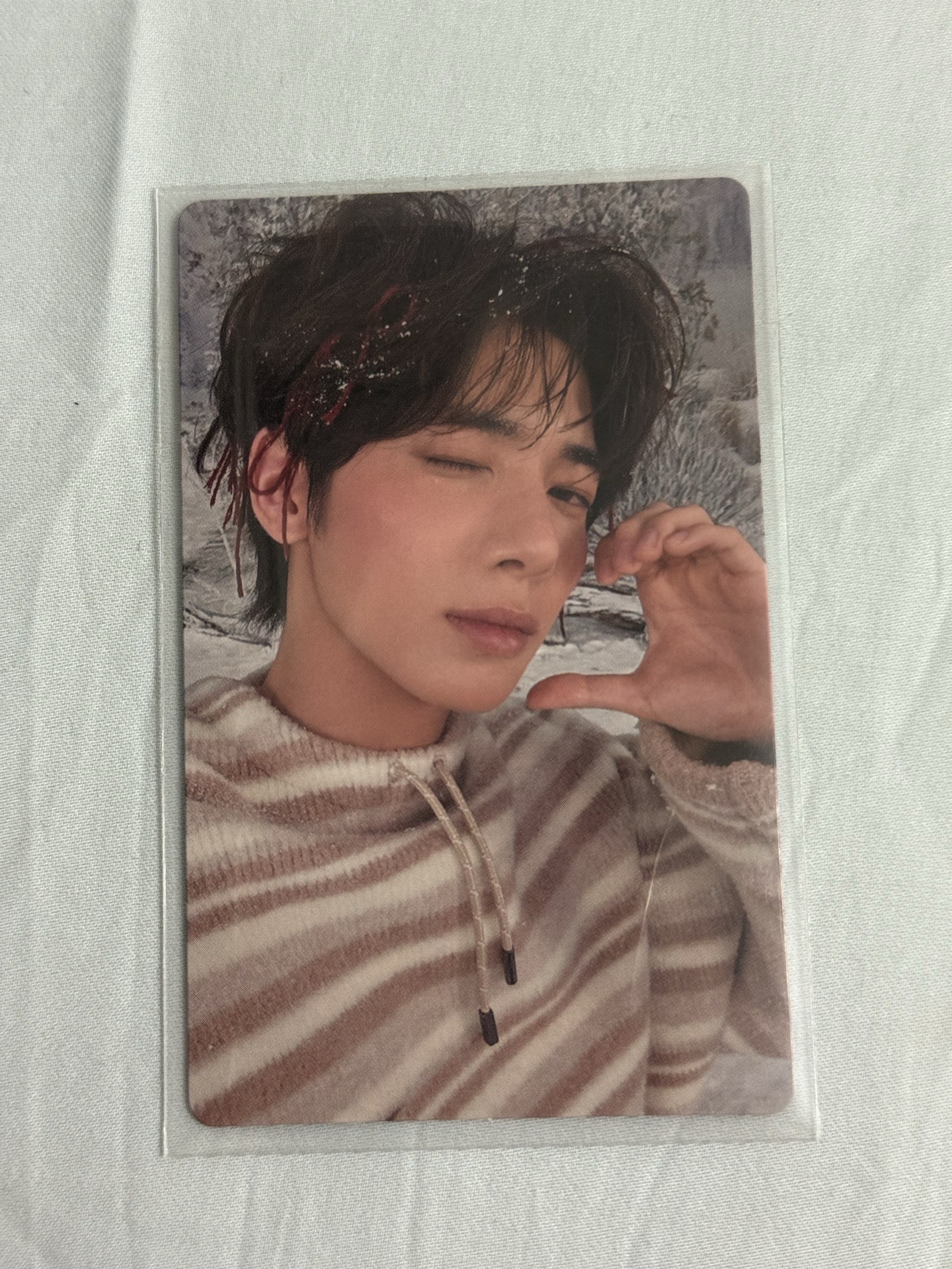 日巡新入會卡-顯