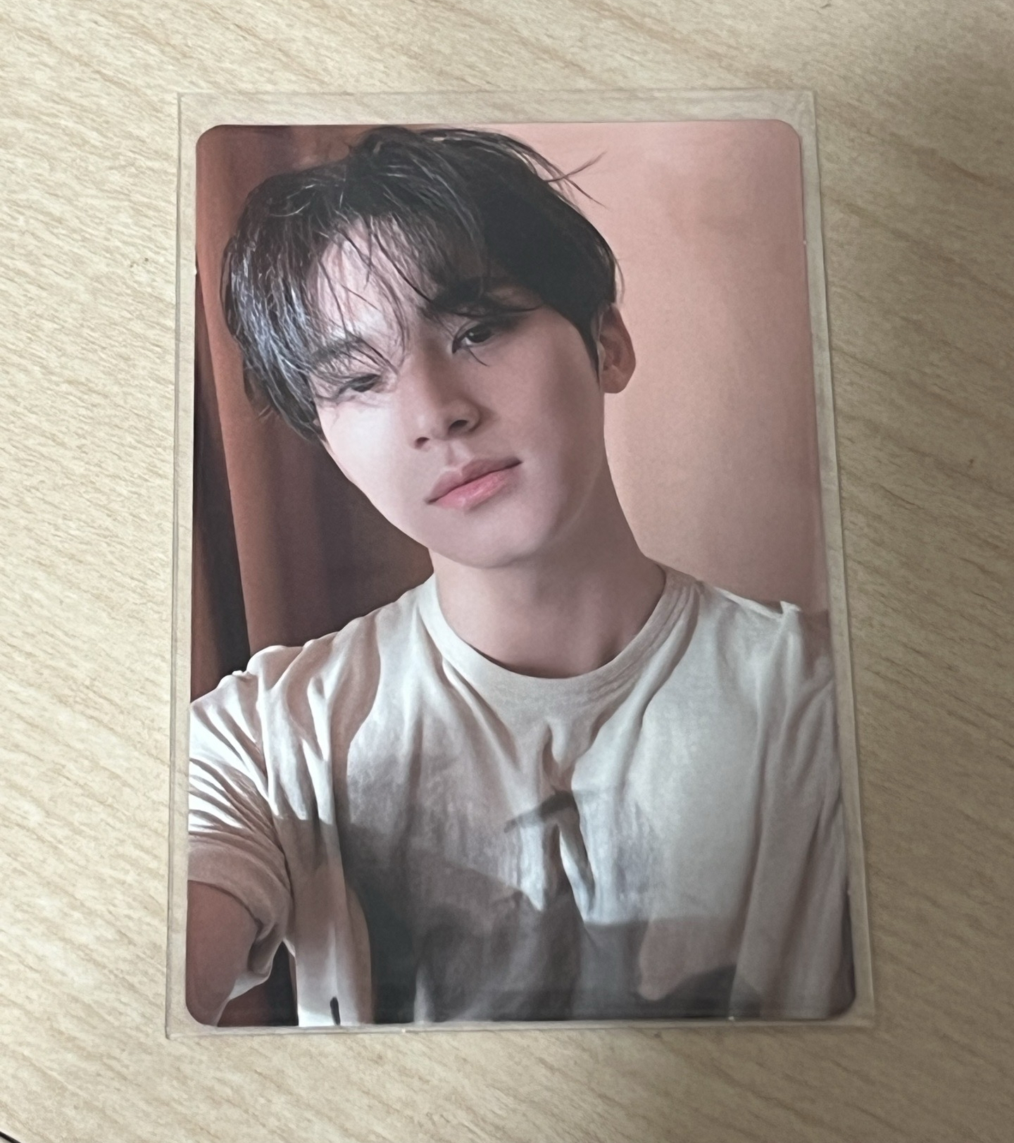 正四 專輯卡 正規四｜CARAT ver.