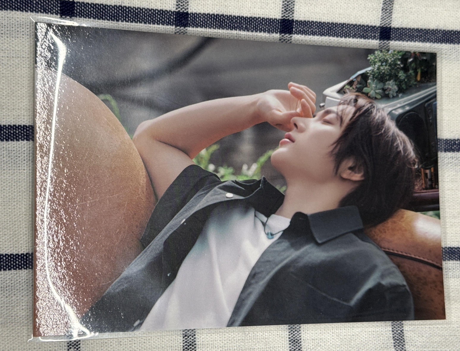 ❄️TEAZLE代言 成淏明信片