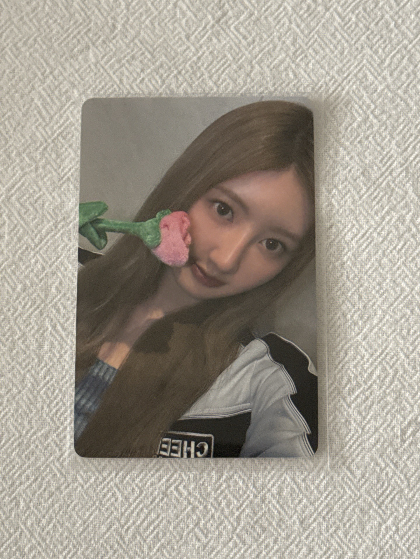 玫瑰日 線下幸運卡 拿花藍