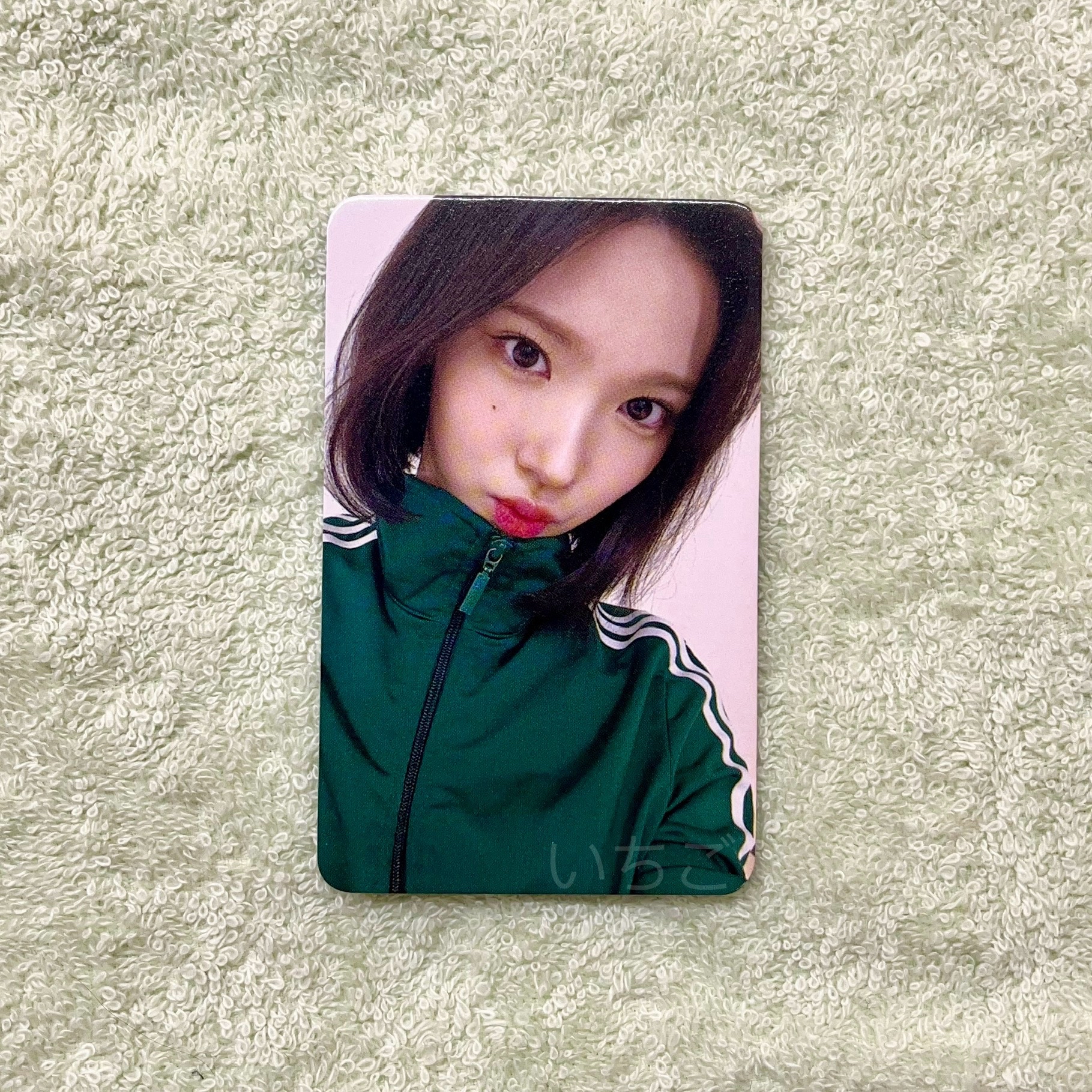 Jiwoo🍓THE CHASE JUMPUP簽售特典