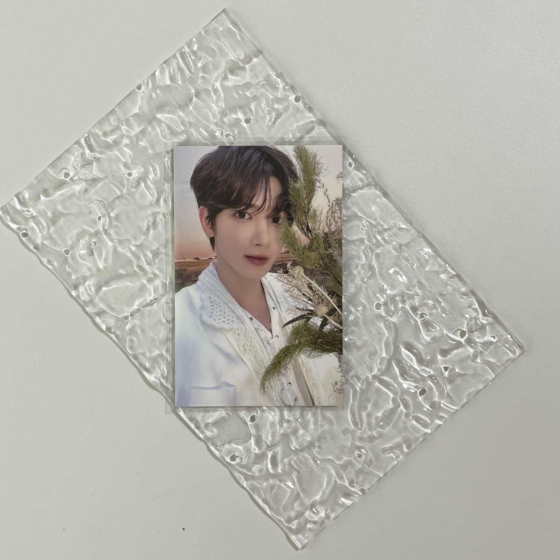 txt三巡粽卡 竣圭顯寧